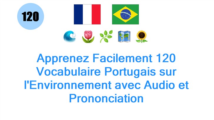 Apprenez Facilement 120 Vocabulaire Portugais sur lEnvironnement avec Audio et Prononciation